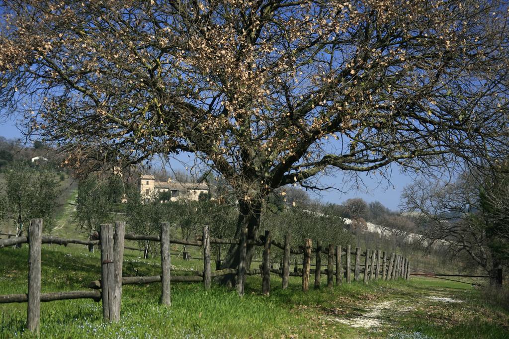 Rustico del Conero Camerano Exterior foto